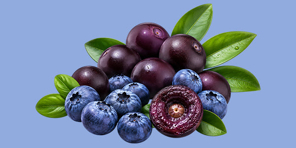 Blueberry Açaí